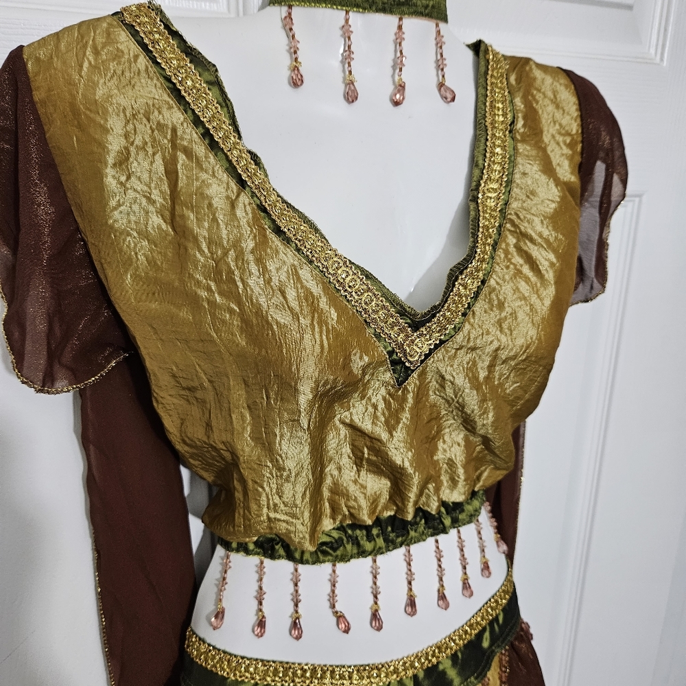 EXOTIC BELLY DANCER Womens Halloween Sz 10-14 Med/Lg Gold Brown Green Costume - Picture 4 of 8